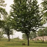 Wild&free Private Nagycsepely