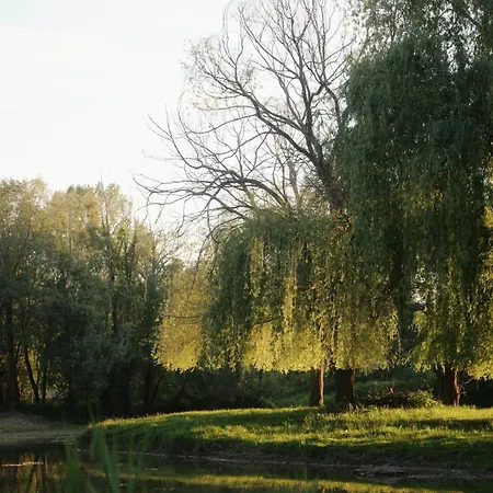 Apartamento Wild&free Private