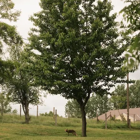 Wild&free Private Nagycsepely