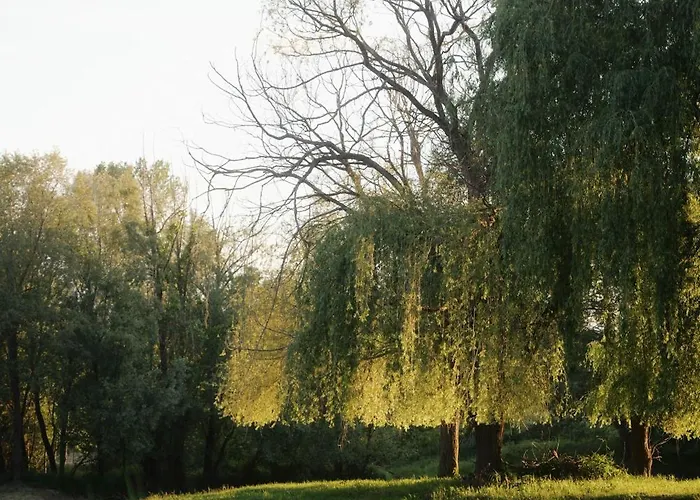 Апартаменты Wild&free Private