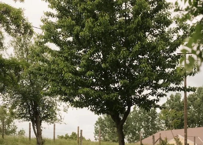 Wild&free Private Nagycsepely